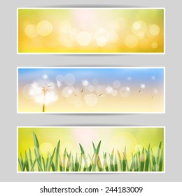 Spring vector set of white dandelion and green grass.