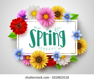 Spring vector template design with spring text in white empty frame and colorful various flowers like daisy and sunflower elements in white background for spring season. Vector illustration.
