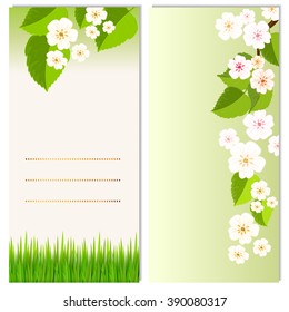 Spring vertical banners set. Green background and spring flowers. Cherry or apple blossom tree for flyer design.