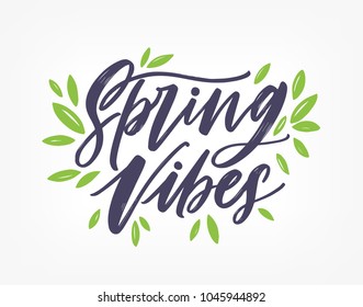 Spring Vibes, gorgeous lettering written with elegant calligraphic font or script and decorated with green leaves. Springtime inscription isolated on white background. Hand drawn vector illustration.