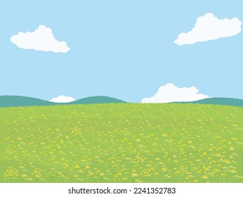 Spring view. Rape flower field.