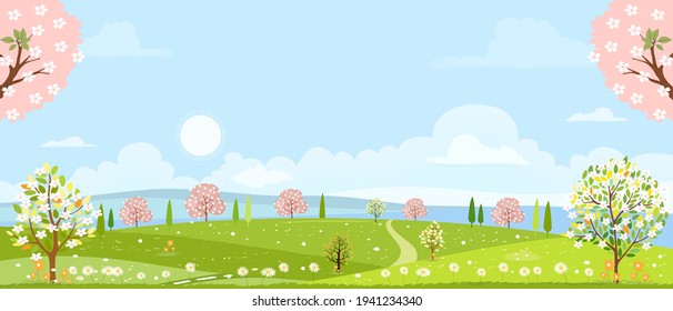 Spring village with cherry blossom, green meadow on hill, blue sky and cloud,Vector cartoon Spring or Summer landscape,Panoramic countryside landscape mountains with Sakura and wild flower field