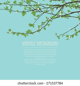 Spring vintage background with room for text