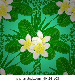 Spring vintage floral background. Beautiful vector texture. Seamless pattern with cute plumeria flowers on a green background.