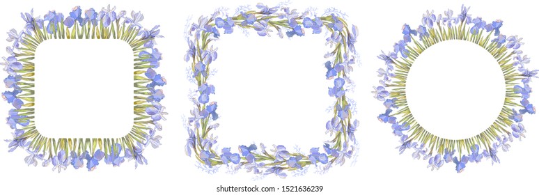 Spring Vintage Floral Greeting Card with Blooming garden flowers, botanical natural irises Illustration in hand drawn style. Vector frame on white background.