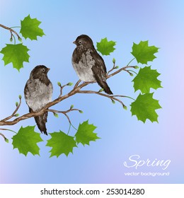 Spring watercolor background with a branch of maple and birds on a blurred blue background