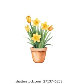 Frühling Aquarell Zusammensetzung mit Blumen in Töpfen. Tulpen, Narzissen und Krokussen in warmen Tönen. Blumentöpfe, weiche Pastellfarben, handbemalt. Perfekt für Federkarten.