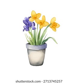 Spring watercolor composition with flowers in pots. Tulips, daffodils and crocuses in warm tones. Flower pots, soft pastel colors, hand painted. Perfect for spring cards.