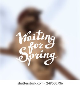 Spring watercolor hand-drawn lettering-model for design of gift packs, patterns fabric, wallpaper, web sites, etc.