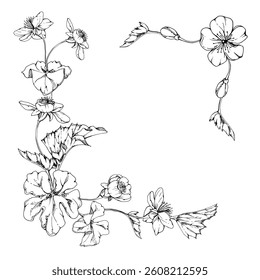 Spring white apple cherry sakura flowers with leaves, forest cloudberry anemone primrose ephemera, hand drawn vector ink. Corner frame isolated illustration, for wedding, florist shop, scrapbooking