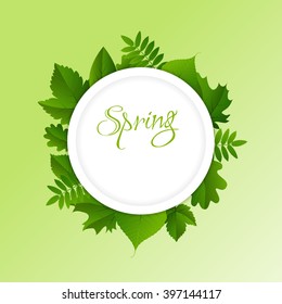 Spring white circle frame with green different leaves on light green background