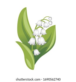 Spring white flower. Convallaria majalis. Lily of the valley, may-lily, fragrant, bell-shaped flowers. Floral vector illustration. 