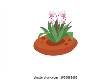 Spring White Flower Patch Vector Icon