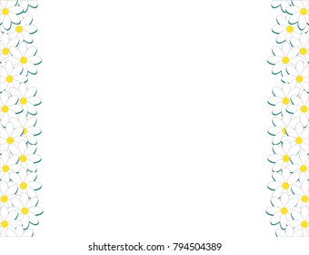 
Spring white nature background with white chamomiles. Floral background 