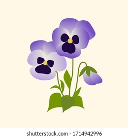 Spring white purple pansy viola flower illustration vector 