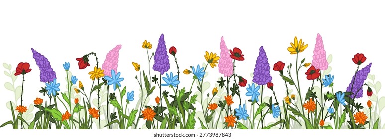 Spring wild flowers border, natural vector illustration isolated on white background. Wildflower frame with red poppy, daisy and purple bunches, summer meadow pattern for romantic botanical design