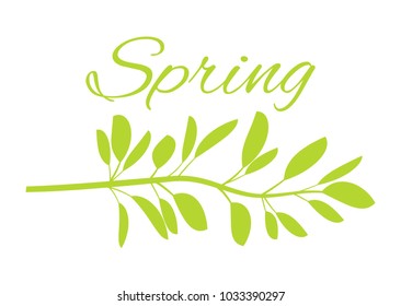 Spring with wild grass on poster with huge sign in italic. Thin stem with oval leaves in horizontal position. Fresh early spring vector illustration.