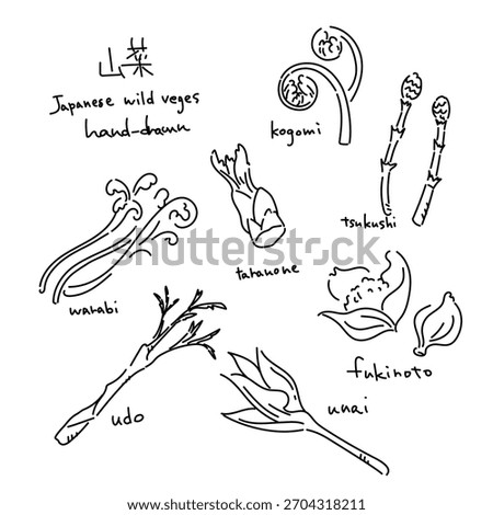 Spring wild vegetable illustration set - black line drawing illustrations