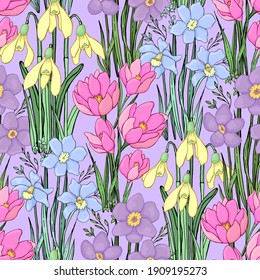 Spring wildflowers. Botanical background. Isolated vector seamless pattern.