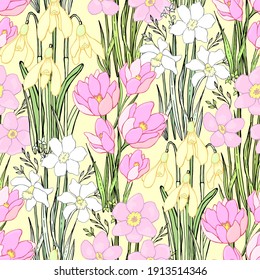 Spring wildflowers. Botanical background. Isolated vector seamless pattern.