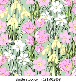 Flores silvestres de primavera. Fondo botánico. Patrón aislado sin fisuras vectorial.