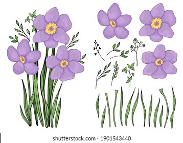 Spring wildflowers. A bouquet of snowdrops. Botanical elements set. Hand drawing. Line  art.