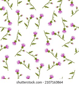 Spring wildflowers. Endless seamless pattern. Vector stock illustration. Thistle flower. Thorns and weeds.