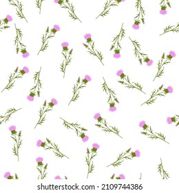 Spring wildflowers. Endless seamless pattern. Vector stock illustration. Thistle flower. Thorns and weeds.