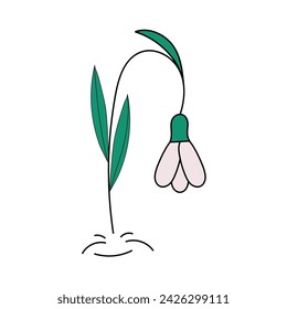 Primavera wildflower.Snowdrop sobre fondo aislado.Ilustración vectorial en estilo plano.Un simple elemento hecho a mano.