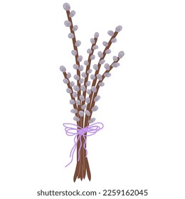 Spring willow seals on white background.Blooming willow twigs illustration in flat style,Easter decor. Bouquet with pussy tree buds. Willow branch for greeting cards, poster,banner