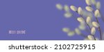 Spring willow tree in bloom. Willow twigs with buds. Abstract lilac spring background with realistic blossom branches. Color of the year 2022