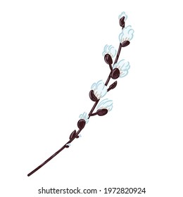 Spring willow twig blooms. Vector hand drawn Easter element isolated on white background.