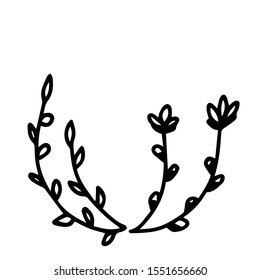 Spring willow twig isolated on white background. Vector doodle outline illustration. Floral elements for design post, social media, postcard, invitation, frame photo, wedding, child coloring book. 