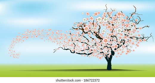 Spring wind rips cherry blossom tree. Vector. Illustration. 