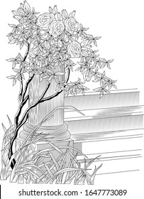 Spring in the woods sketch feel linear drawing