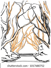 Spring in the woods sketch. Hand drawn landscape