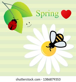 Spring word, flowers, bee, beetle, leaves. Nature symbol, abstract background. Vector illustration.