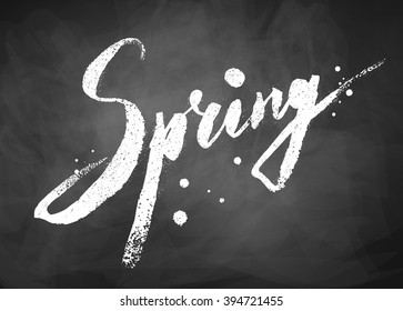 Spring word grunge hand drawn chalked vector lettering on black chalkboard background.