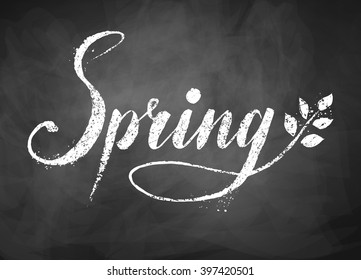 Spring word grunge hand drawn chalked vector lettering on black chalkboard background  with tree branch and leaves.