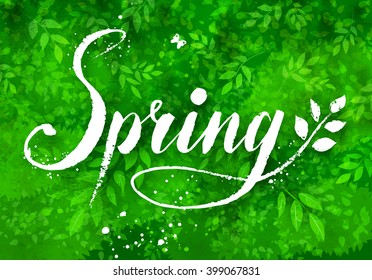 Spring word grunge hand drawn vector lettering on green watercolor background with leaves and tree branches.