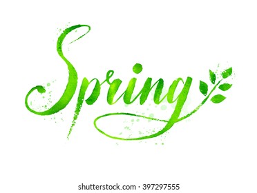 Spring word grunge watercolor hand drawn vector lettering on white background with tree branch and leaves.