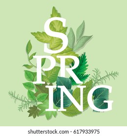 Spring word with leaves isolated.Modern fashion concept for poster,placard,flyer,brochure and wallpaper.Also useful for web site,ad,touristic advert,marketing,blog,social network and advertising