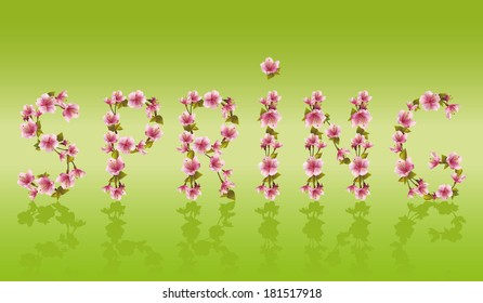 Spring word, sakura tree- Japanese cherry blossom on green background. Vector illustration