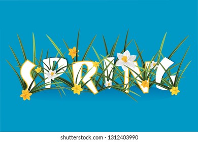 Spring Word Typography Concept in paper cut style. White and yellow narcissus. Foliage lettering. Cutout letters with colorful paper daffodils flowers. Typographic poster design.
