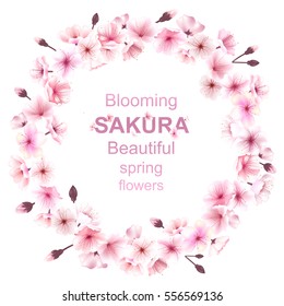 Spring wreath with cherry blossoms. Place for text. Hanami festival. Blooming Sakura, plum Ume. The Lunar Chinese New Year. Spring festival