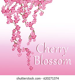 Spring wreath with cherry blossoms. Place for text. Hanami festival. Blooming Sakura, plum Ume. The Lunar Chinese New Year. Spring festival