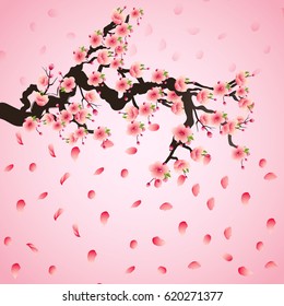 Spring wreath with cherry blossoms. Place for text. Hanami festival. Blooming Sakura, plum Ume. The Lunar Chinese New Year. Spring festival