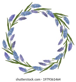 Spring wreath of Muscári flowers. Sublimation design