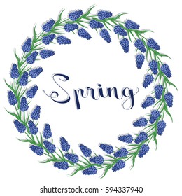 Spring wreath of muscari flowers. Hello Spring