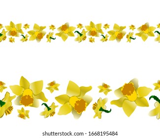 Spring yellow daffodils endless banner. Floral motif repeat border isolated on white background. Vector illustration.